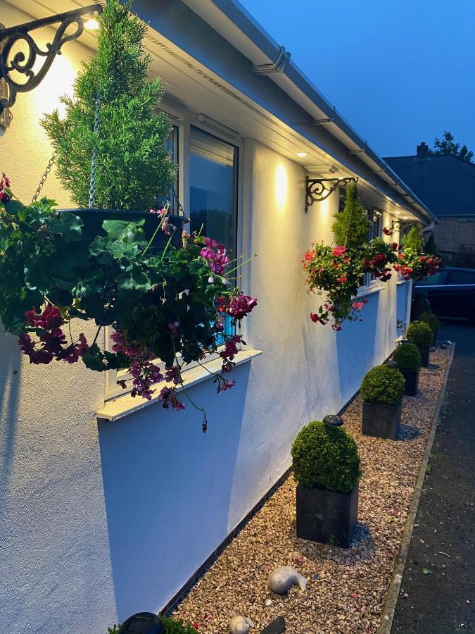 Toppesfield House B&B Bude Exterior foto