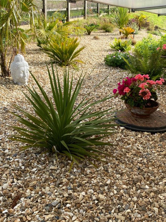 Toppesfield House B&B Bude Exterior foto